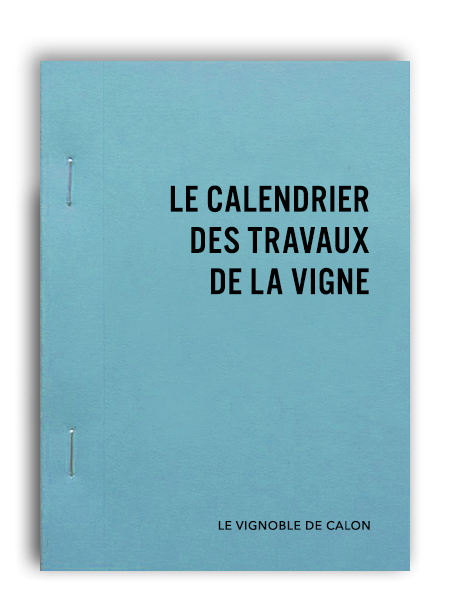 Calendrier des travaux de la vigne