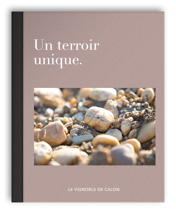 Un terroir unique Un terroir unique