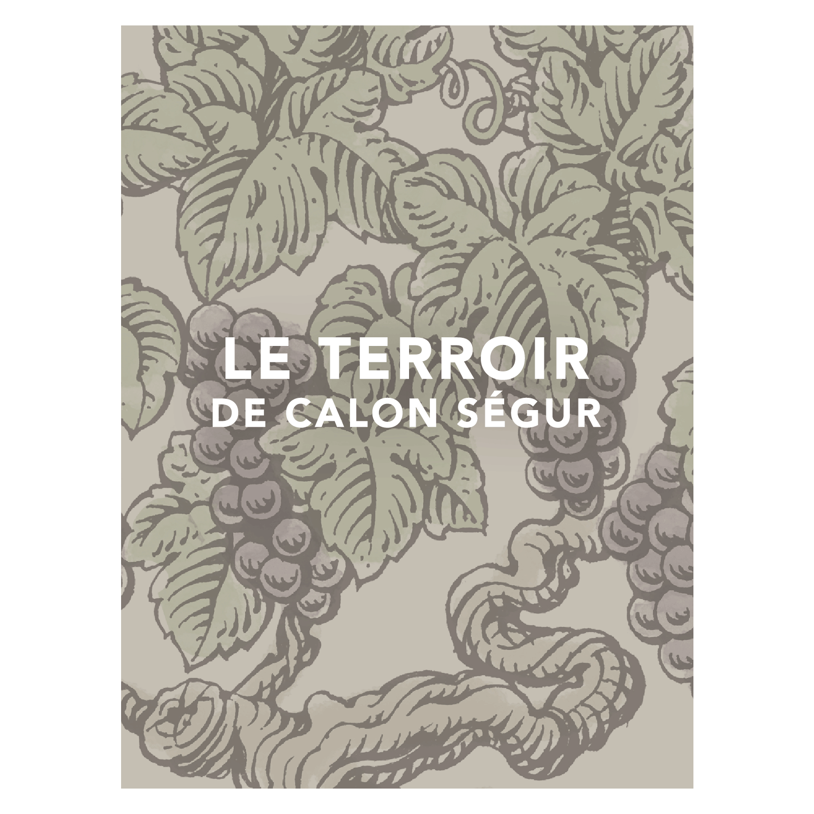 La coupe du terroir