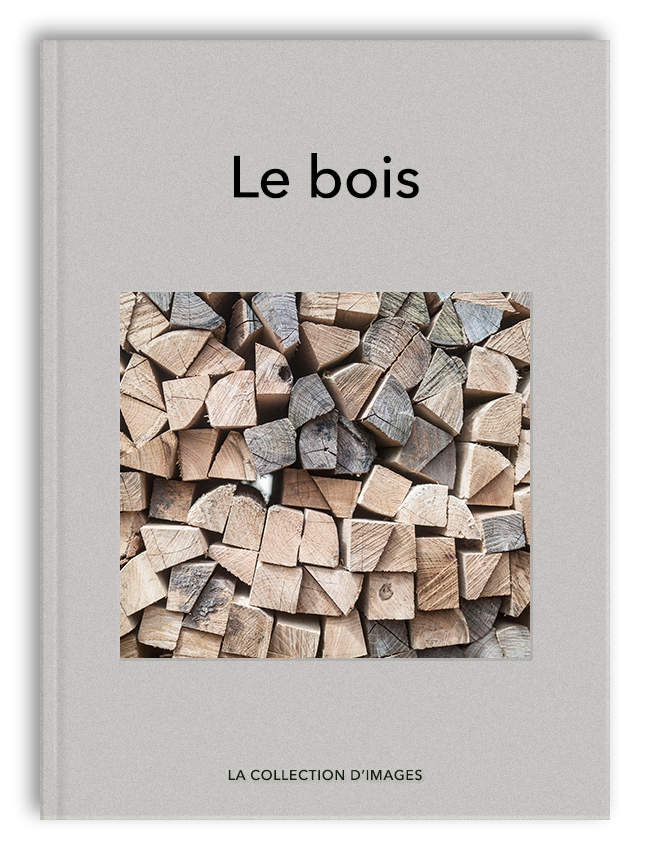 Le bois