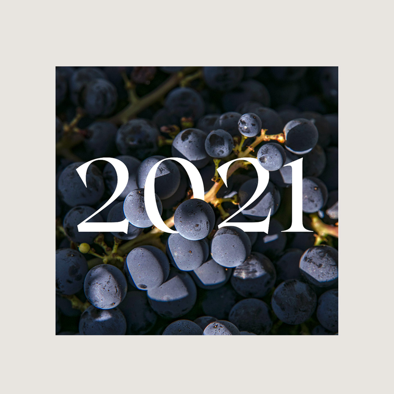 Millésime 2021